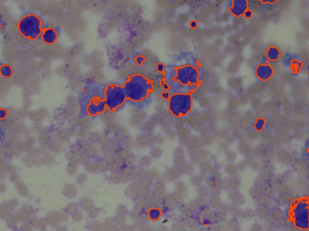 Cancer Detection in Pets